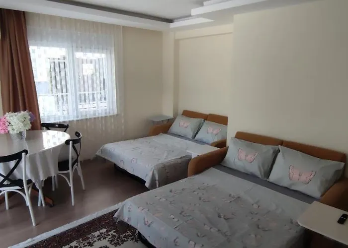 Apartment Family 